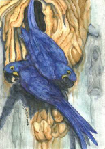 A4 sized watercolour on paper