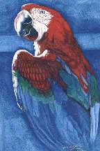 A4 watercolour pencil sketch on paper