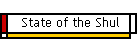 State of the Shul