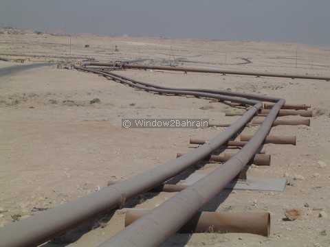 Desert Scene in Bahrain Photo 21