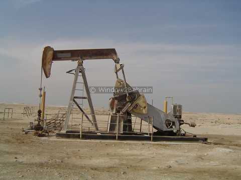 Desert Scene in Bahrain Photo 23