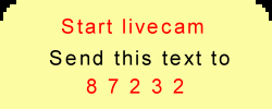 01.gif (4438 bytes)
