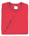 T1red.jpg (7857 bytes)