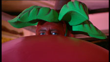 Jerry the Berry