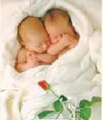 Anne Geddes little babies
