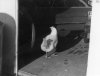 chicken1x.jpg
