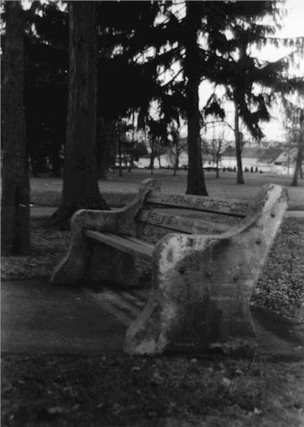 Benches in Lake Lenape