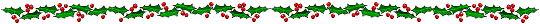 Holly Border
