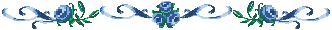 Blue Floral Border