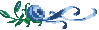 Blue Flower