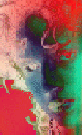 woman