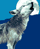 Wolf/Blue Mountain Arts Animated Greetings