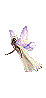 flying fairy