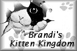 Brandi's Kitten Kingsdom