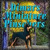 Dimar's Page