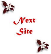 Next Site