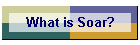What is Soar?