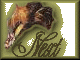 n19