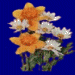 Daisies & Daffodils