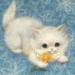 Fluffy
