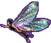 Fairy
