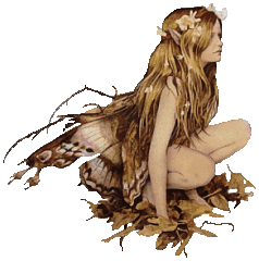 Fairy