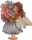 Fairy