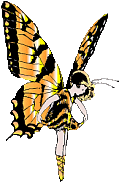 Orange Fairy