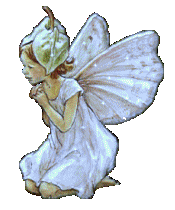 Liz and Lynn's Fairy