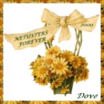 Sister Dove