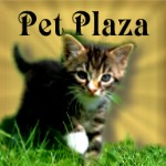Sisters in PetPlaza