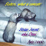 Sister Doni