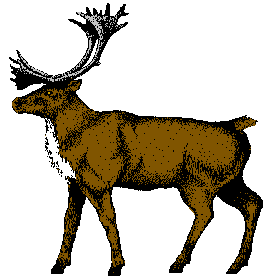 deer1.gif