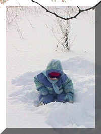 taking a break2.jpg (142690 bytes)