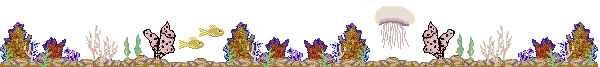 divider line