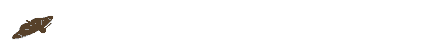 animated butterfly