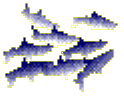 school of fish