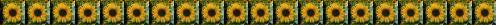sunline.jpg (6521 bytes)