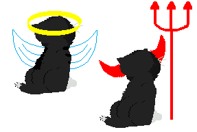cat angel