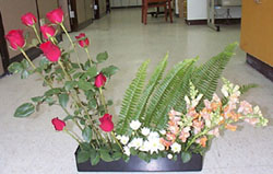 P1.jpg (20865 bytes)