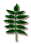 vanitygarnish.gif (2354 bytes)