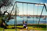 swing by Manly Beach