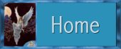 Home Button