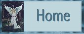 Home Button