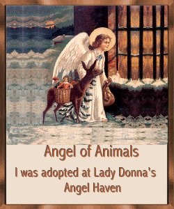 Angel of Animals