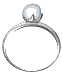 ring.gif (2479 bytes)
