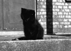 Lille Hugo