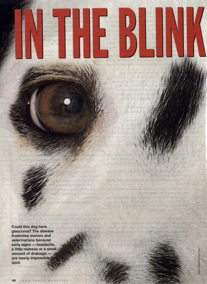 glaucoma1.jpg (210212 bytes)