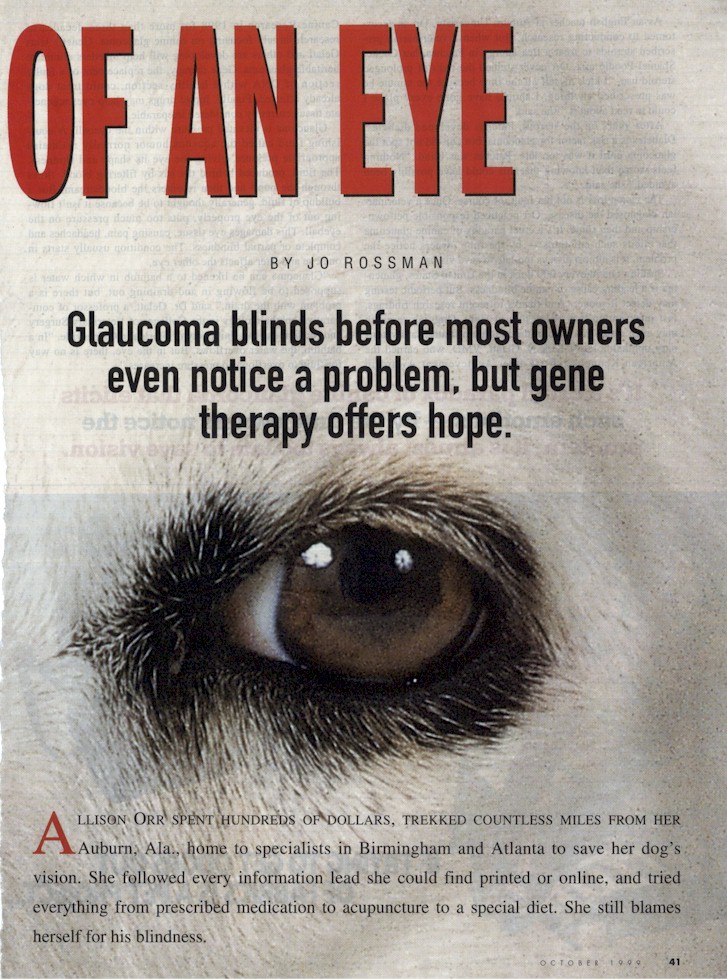 glaucoma2.jpg (232189 bytes)