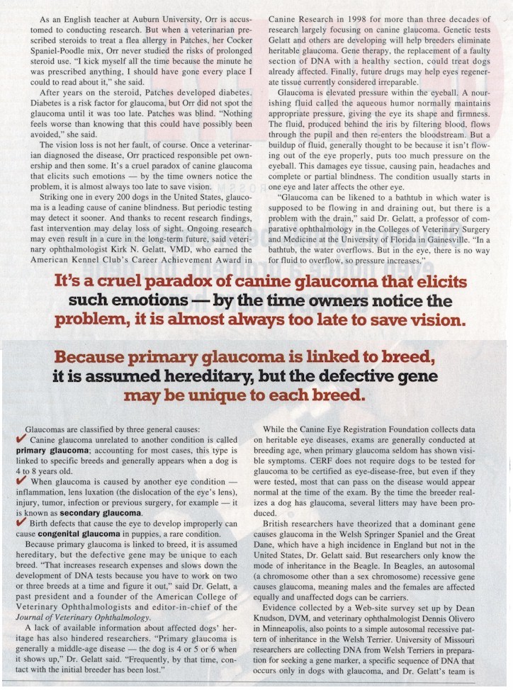 glaucoma3.jpg (313500 bytes)